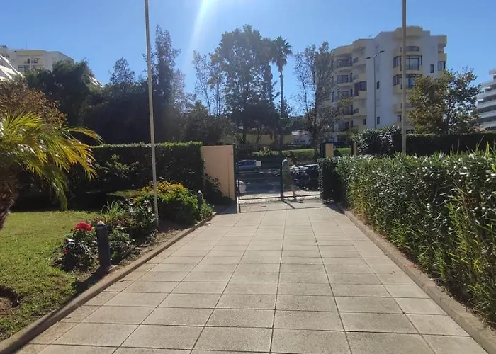 T0 Paraiso Sol Da Rocha