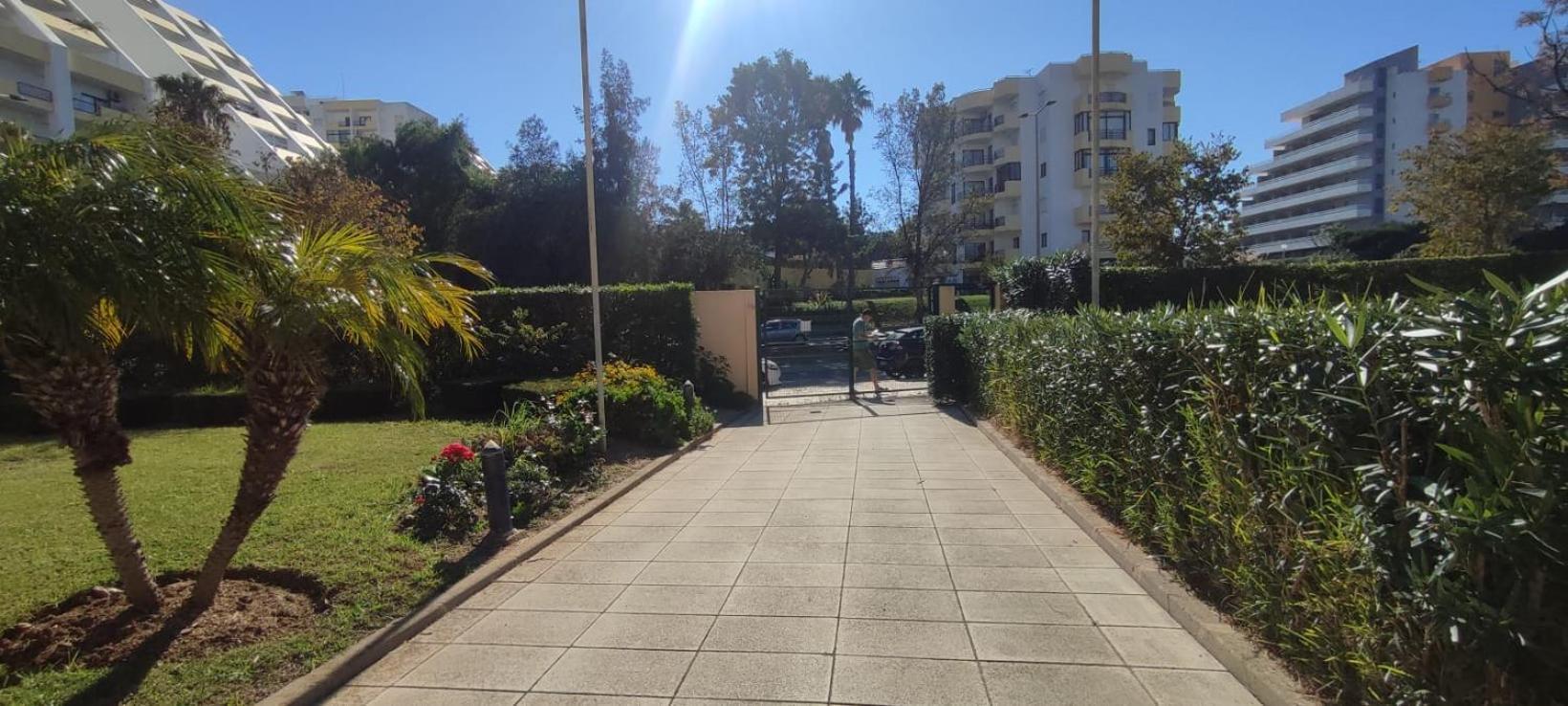 T0 Paraiso Sol Da Rocha