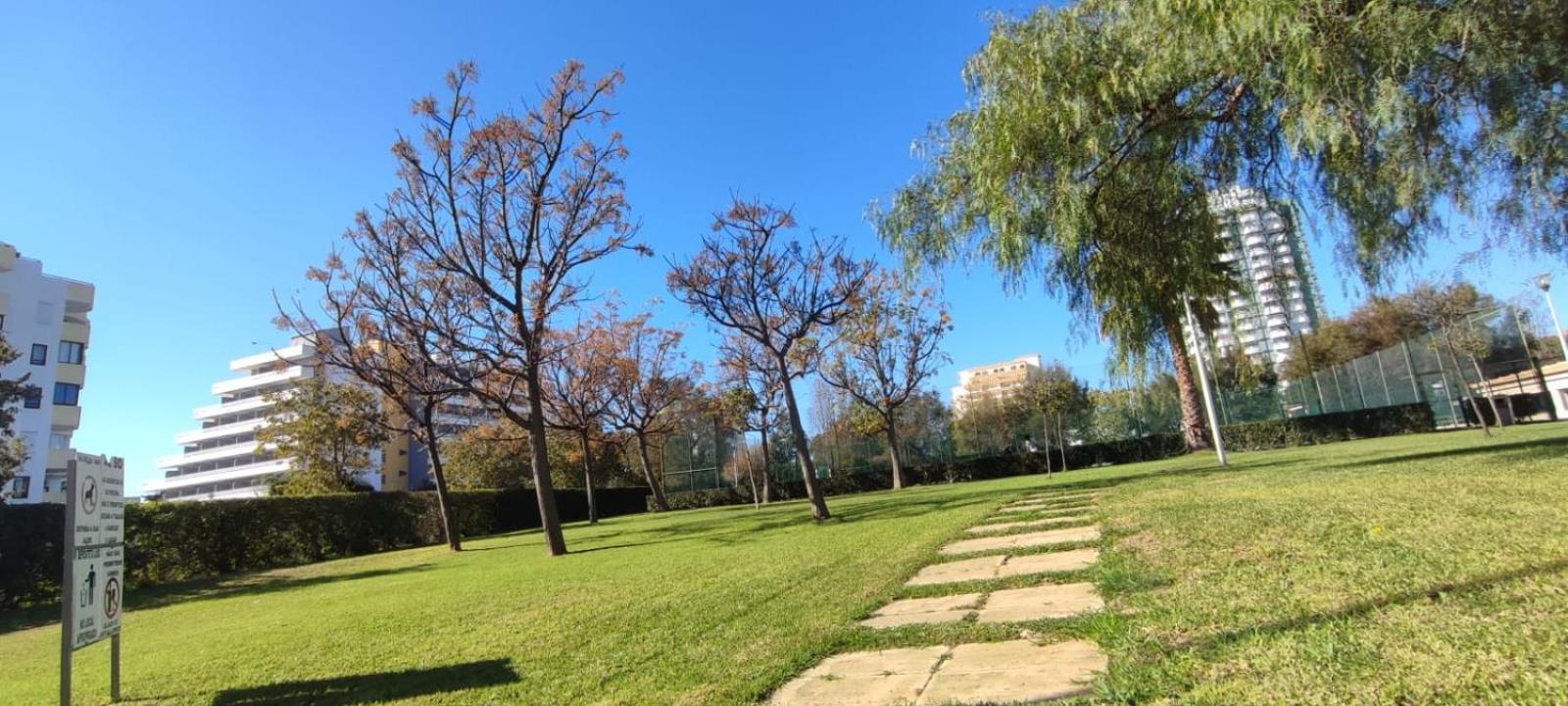 T0 Paraiso Sol Da Rocha